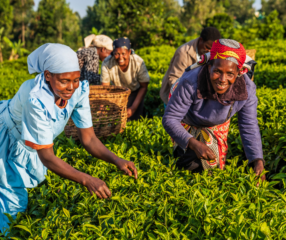 Next-Gen food security initiative